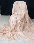 Pure tussar with Guajarati hand weaving katha work with blouse